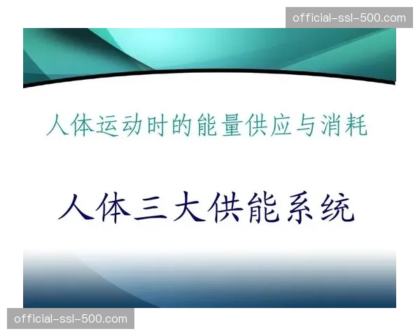 体能储备期：运动生理学家解读四月赛程对身体消耗及打法的影响