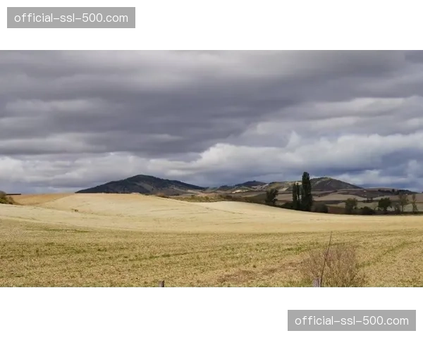 西索科谈种族歧视：若为亚马尔，将重思西班牙效力之路